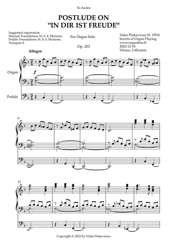 Postlude on "In dir ist Freude", Op. 203 (Organ Solo) by Vidas Pinkevicius
