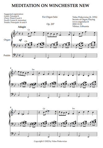 Meditation on Winchester New, Op. 207 (Organ Solo) by Vidas Pinkevicius