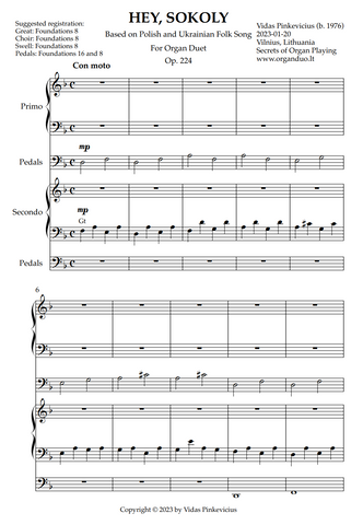 Hey, Sokoly, Op. 224 (Organ Duet) by Vidas Pinkevicius