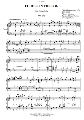 Echoes in the Fog, Op. 292 (Solo Piano) by Vidas Pinkevicius