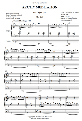 Arctic Meditation, Op. 293 (Organ Solo) by Vidas Pinkevicius