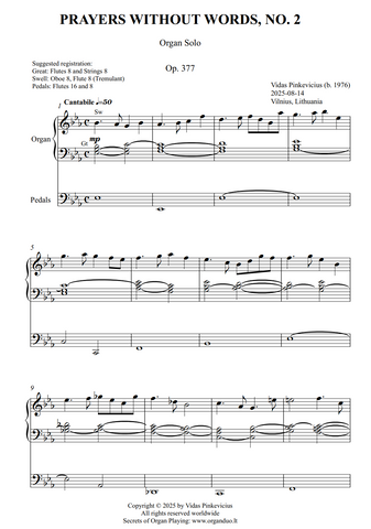 Prayers Without Words, No. 2, Op. 377 (Organ Solo) by Vidas Pinkevicius