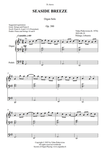 Seaside Breeze, Op. 380 (Organ Solo) by Vidas Pinkevicius