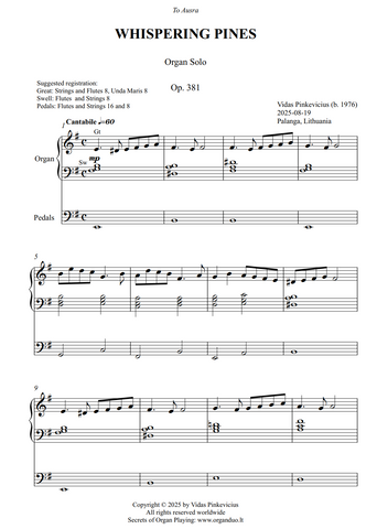 Whispering Pines, Op. 381 (Organ Solo) by Vidas Pinkevicius