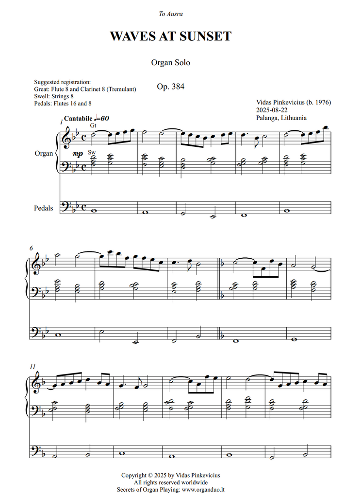 Waves at Sunset, Op. 384 (Organ Solo) by Vidas Pinkevicius