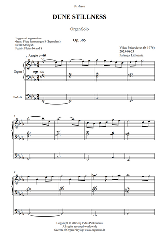 Dune Stillness, Op. 385 (Organ Solo) by Vidas Pinkevicius