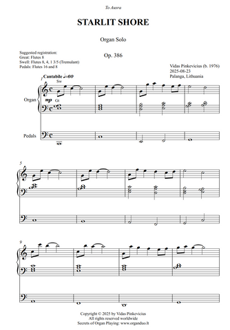 Starlit Shore, Op. 386 (Organ Solo) by Vidas Pinkevicius