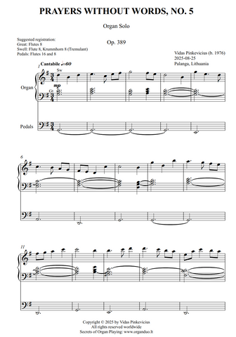 Prayers Without Words, No. 5, Op. 389 (Organ Solo) by Vidas Pinkevicius