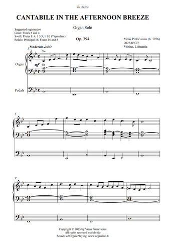Cantabile in the Afternoon Breeze, Op. 394 (Organ Solo) by Vidas Pinkevicius
