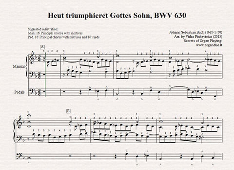 BWV 630 Practice Guide