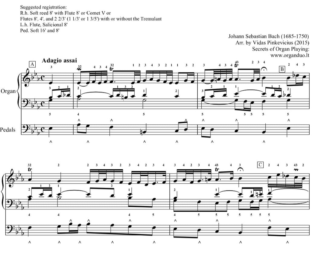 O Mensch bewein' dein Sunde gross, BWV 622 by J.S. Bach