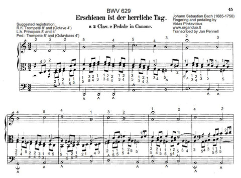 Erschienen ist der herrliche Tag, BWV 629 by J.S. Bach