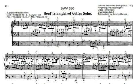 Heut' triumphiret Gottes Sohn, BWV 630 by J.S. Bach