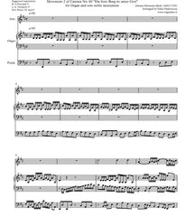 "Alles, was von Gott geboren", BWV 80/2 by J.S. Bach (for organ and solo instrument)