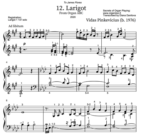 Larigot from Organ ABC by Vidas Pinkevicius (2020)