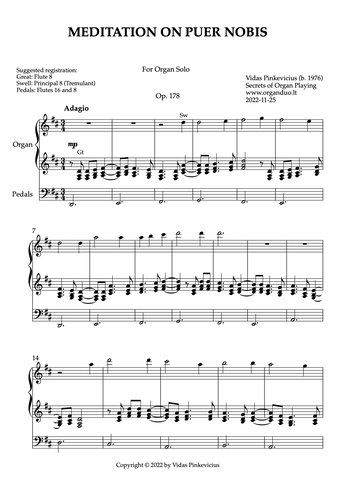 Meditation on Puer nobis, Op. 178 (Organ Solo) by Vidas Pinkevicius
