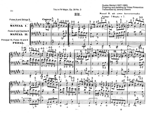 Trio in F# Major, Op. 39 No. 3 by Gustav Merkel with fingering and pedaling